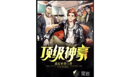 Top Shenhao